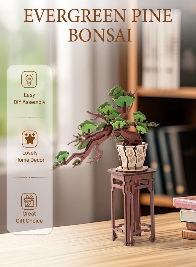 Rowood 3D Wooden Puzzles for Adults,DIY Pine Bonsai Tree Botanical Collection Building Set,Craft Kit Gift for Adults on Christmas Birthday ThanksgivingDay-Evergreen Pine Bonsai - Image 2